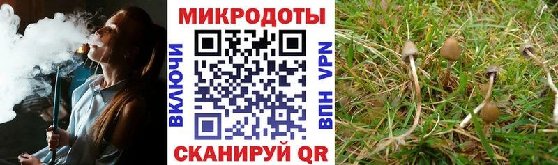 Псилоцибиновые грибы мицелий  продажа наркотиков  Краснослободск 